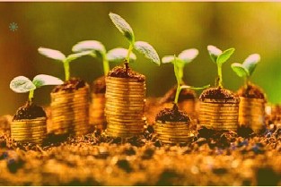 药明生物下调业绩指引！CXO概念股全线走低